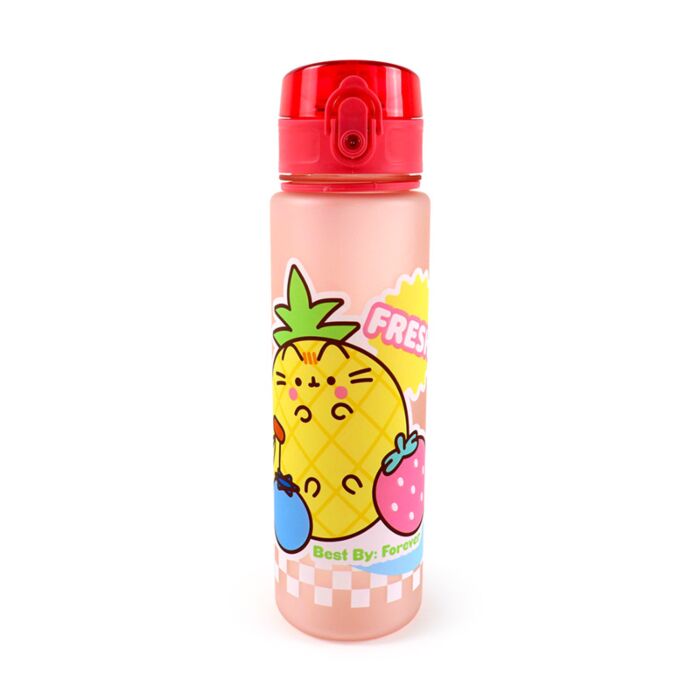 Pusheen de Kat Fruit Pop Top 600ml Ecozen Drinkfles