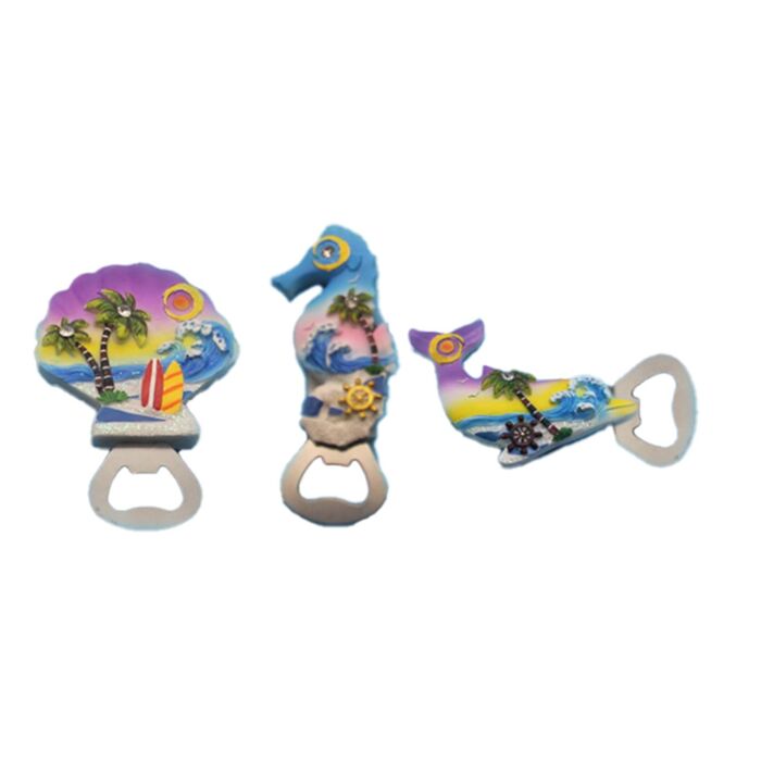 Strand Souvenir Magneet Flesopenerr Zeelleven