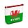 Wales Draak Souvenir PVC Portomonnee