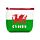 Wales Draak Souvenir PVC Portomonnee
